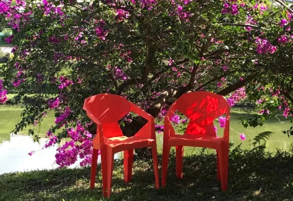 Hotel Colores del Arenal