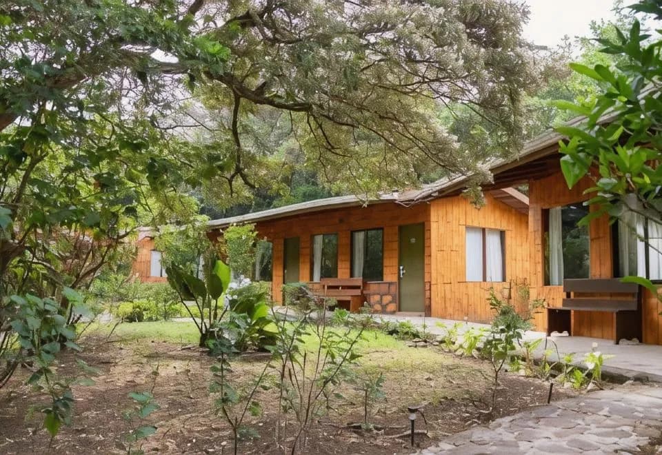 El Bosque Trails & Eco-Lodge