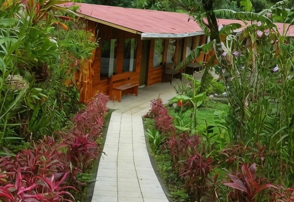 El Bosque Trails & Eco-Lodge