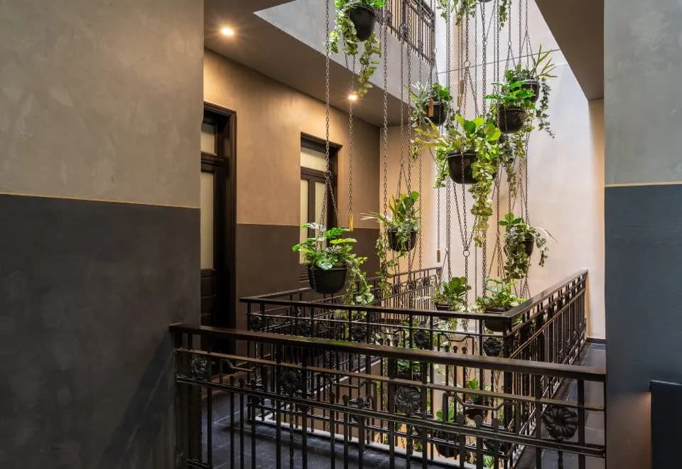 Umbral, a Curio Collection by Hilton