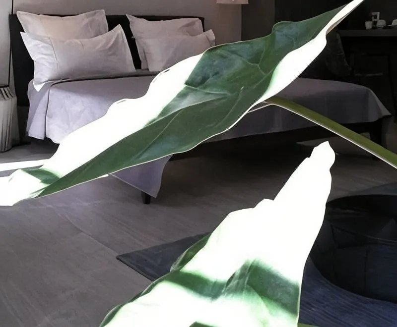 Les Suites Massena