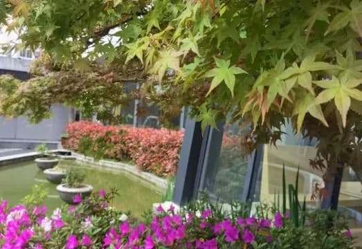 Rhea Boutique Hotel