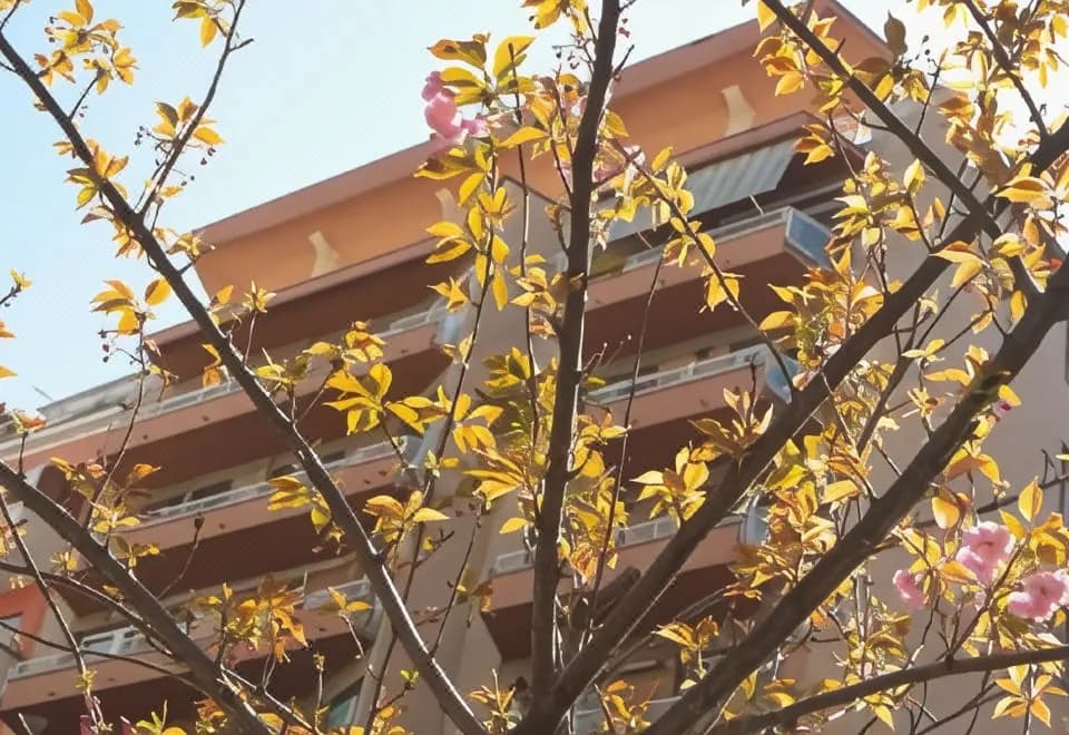 B&B La Perla di Roma