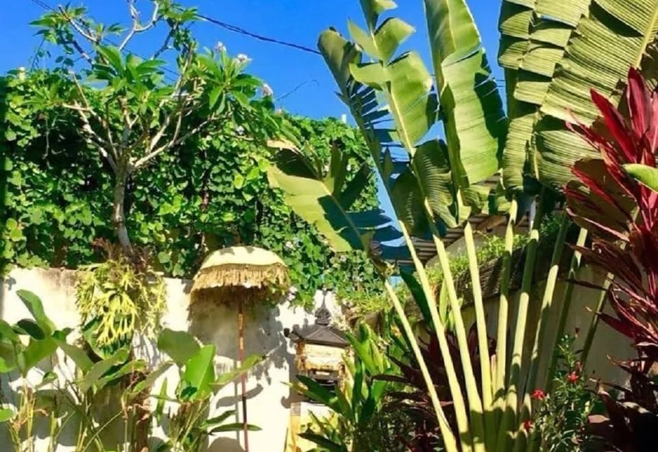 Villa Aurikari