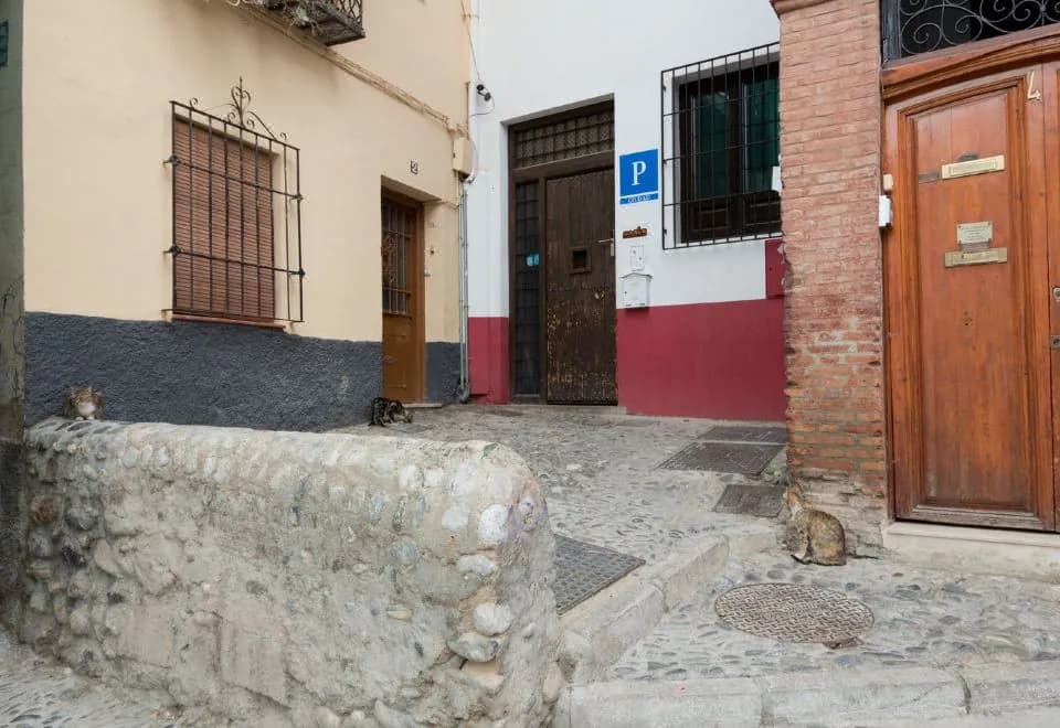 Oasis Backpackers' Hostel Granada
