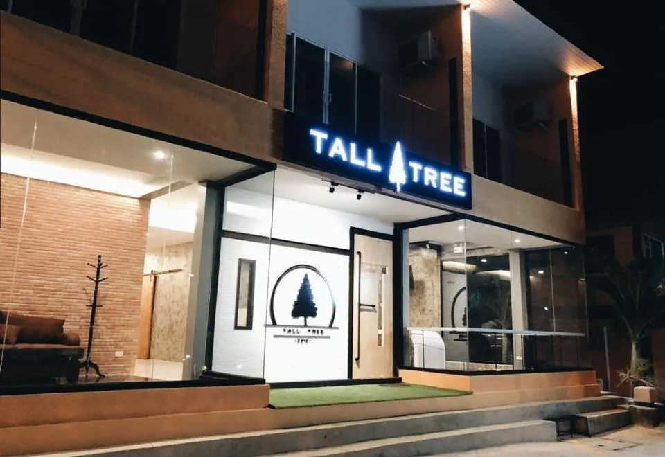 Tall Tree Kata Phuket