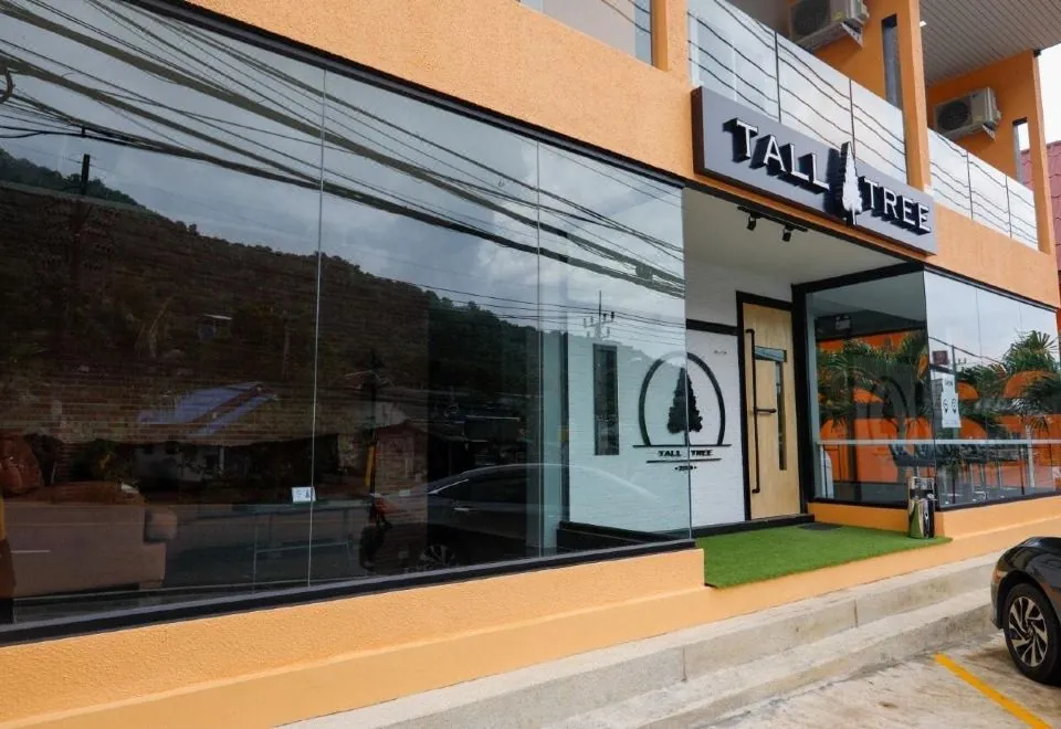 Tall Tree Kata Phuket