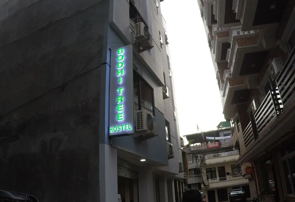 Bodhi Tree Hostel