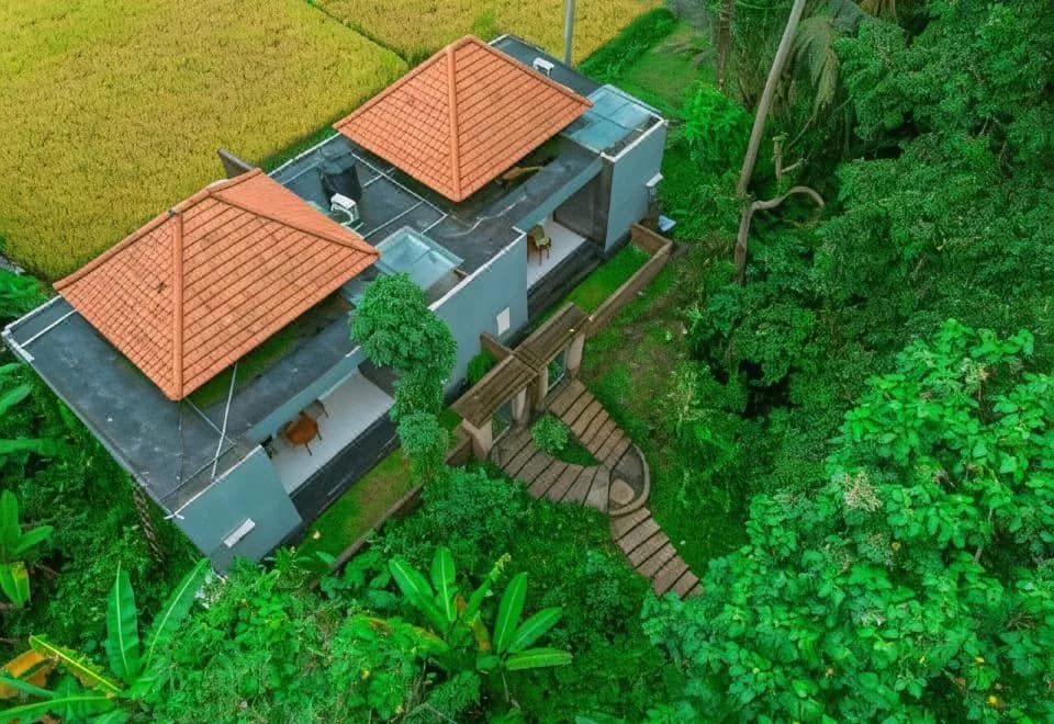The Alus Cottage