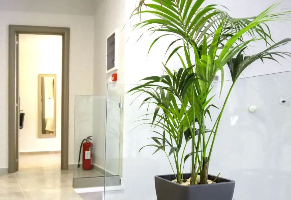 Pallada Athens Boutique Rooms & Apartments