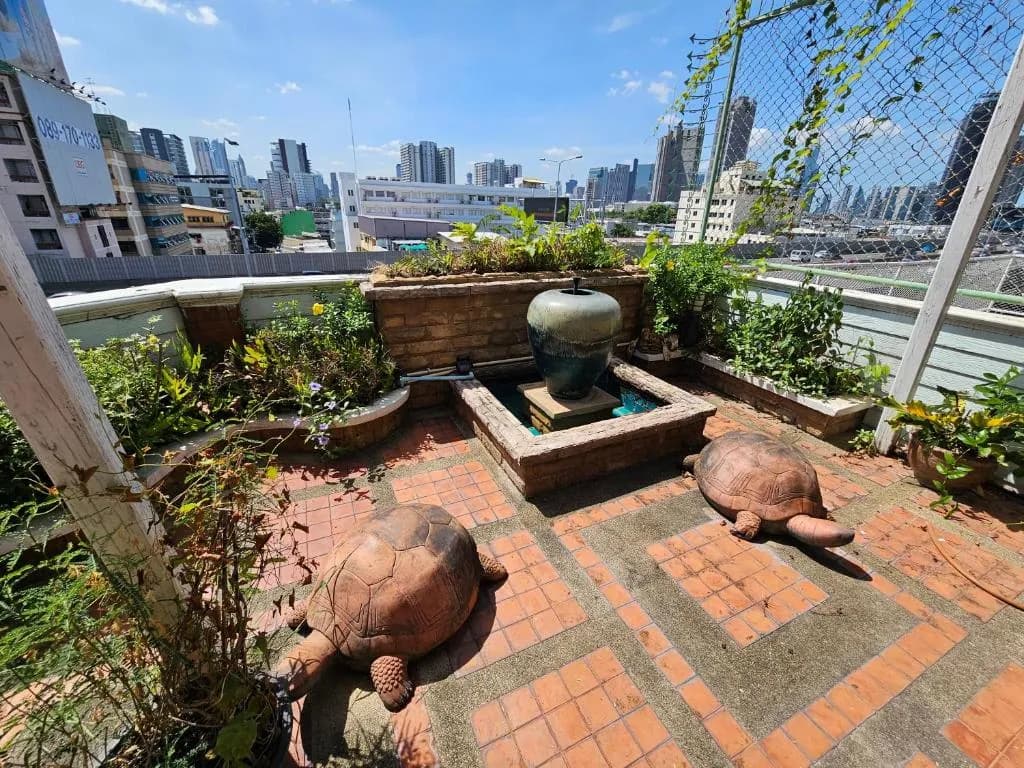 Private rooms in Phatumwan near siam ,samyan,chula