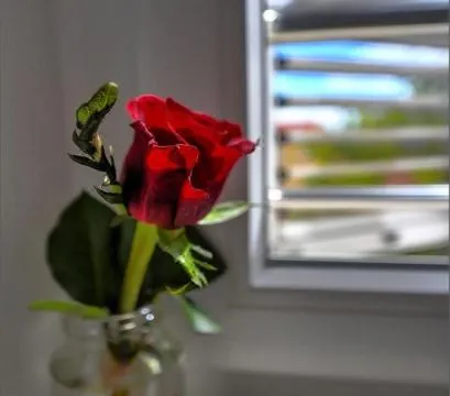 Via Porto Rooms