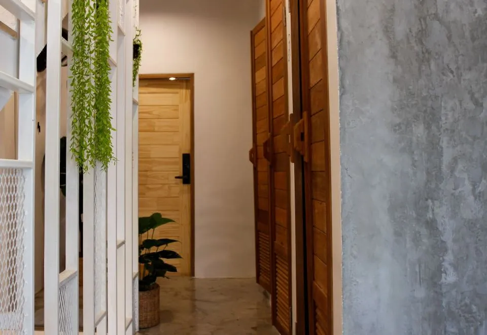 Tropical Summer Hostel