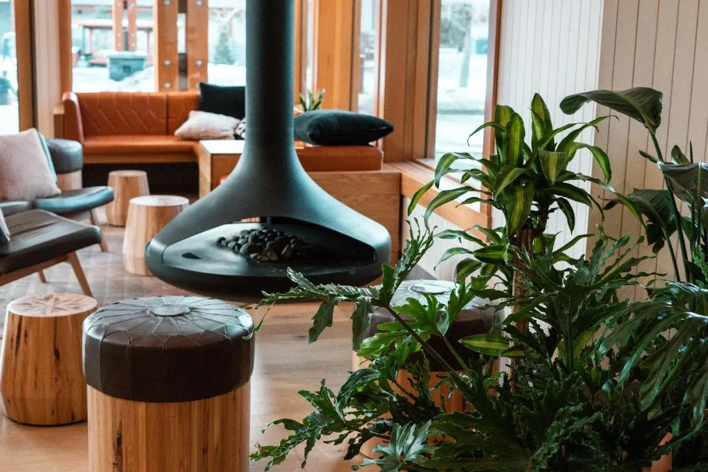 Hotel Canoe and Suites