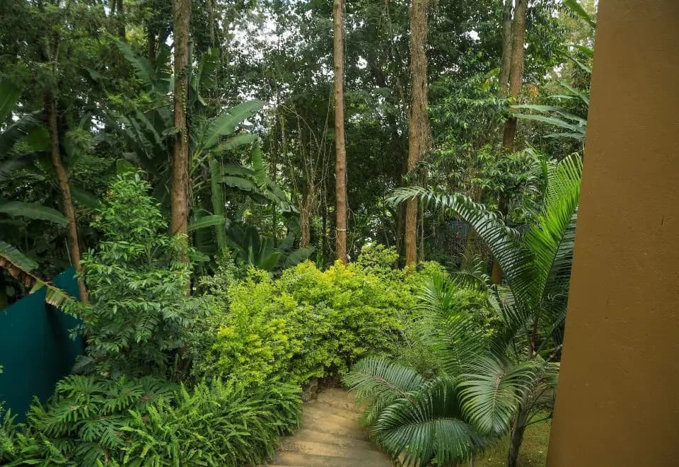 Malkia Trees Lodge
