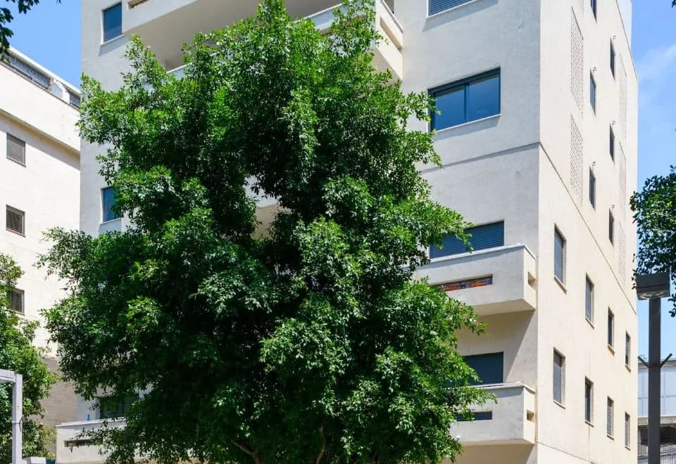 Sunny Luxary Apartments