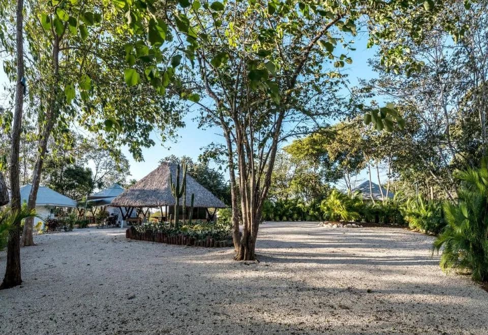 Mikado Natural Lodge