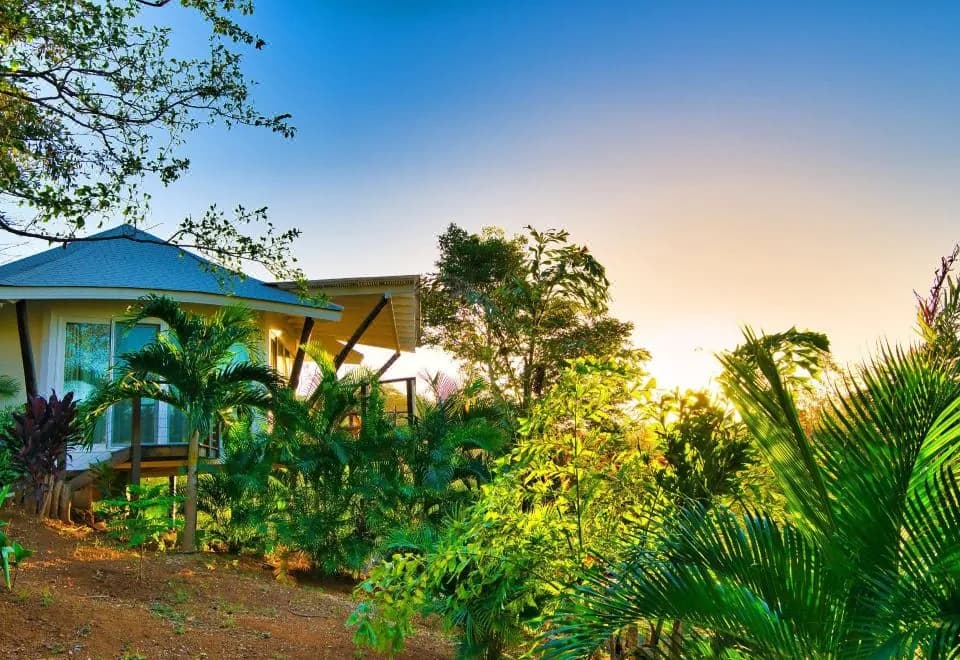 Mikado Natural Lodge