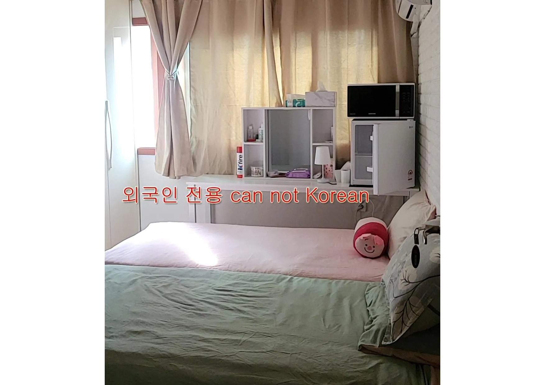 Lion's home