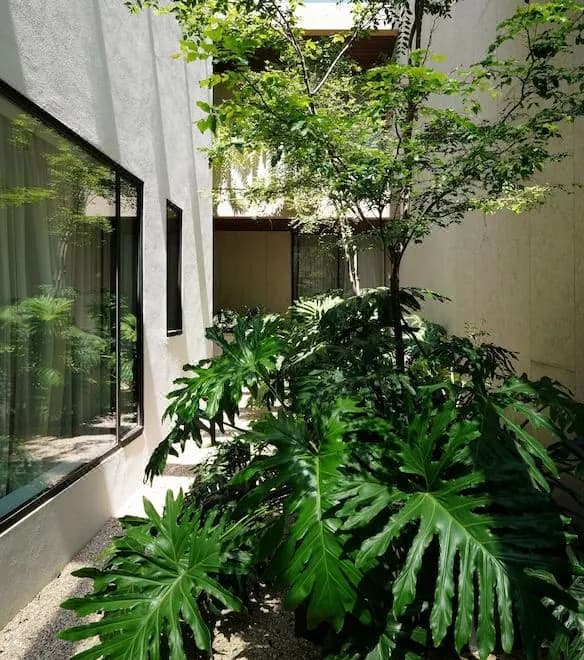 Casa Polanco Hotel Boutique