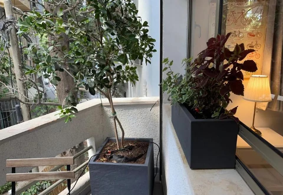 Roza Apartment