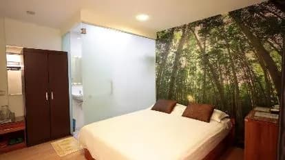 Rain Forest Hotel