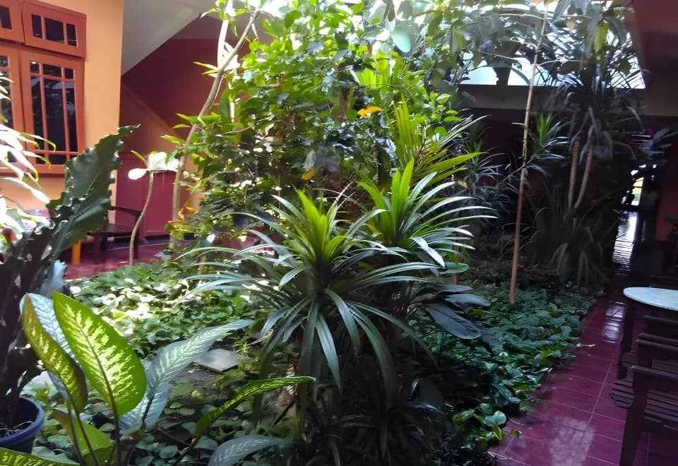 Hotel Dana