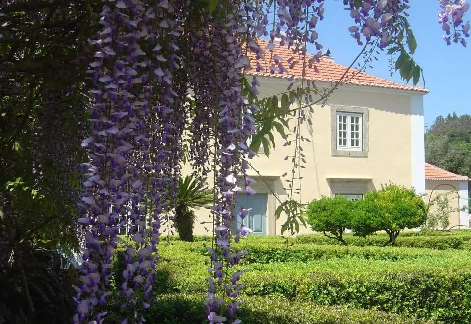Quinta Do Scoto