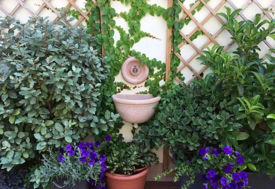 Il Giardino Segreto