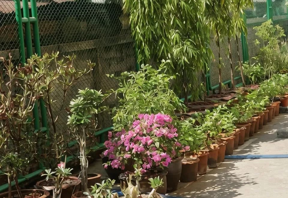 Sitara Place Serviced Apartments