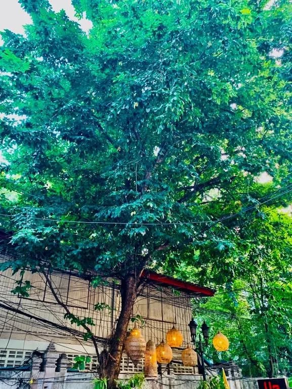 Easy Sunday Couple & Family Hotel Bangkok
