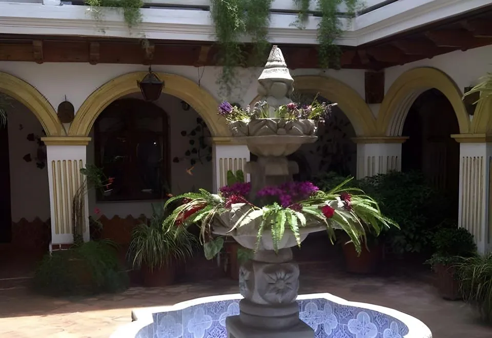 Hotel Gran Plaza Euromaya