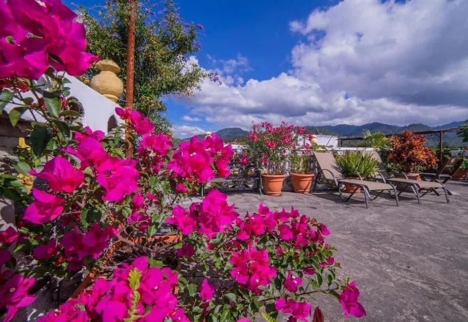 Hotel Gran Plaza Euromaya