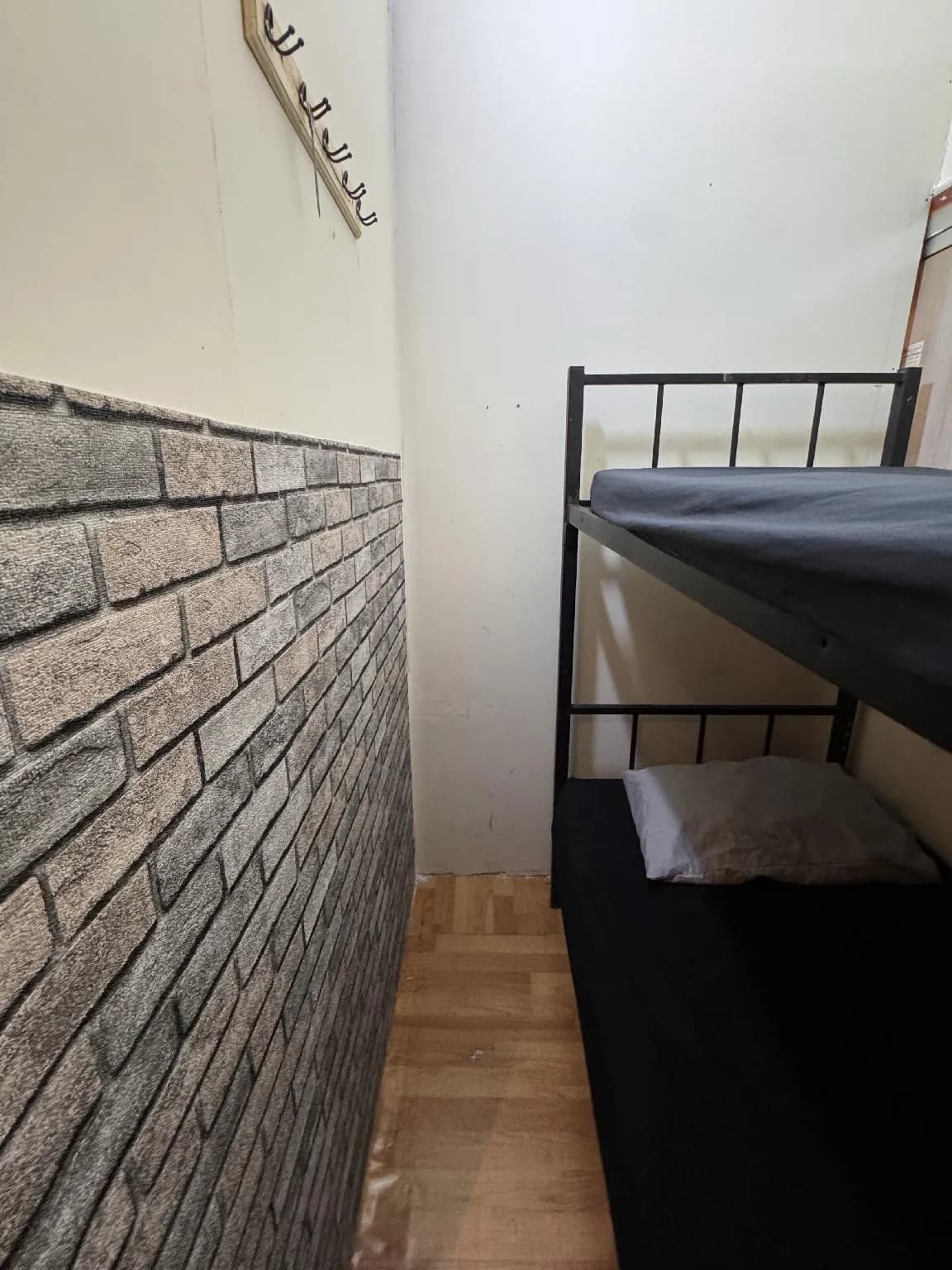 sakura hostel