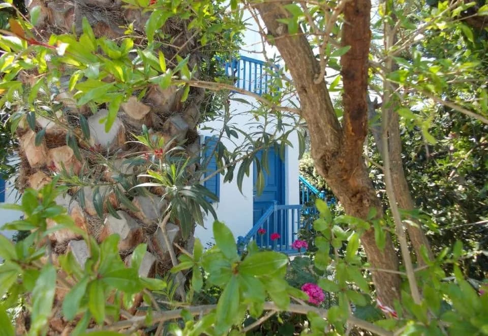 Matina Hotel