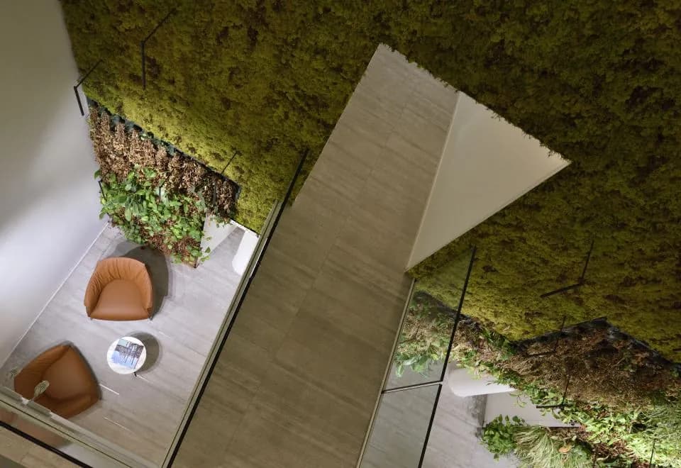 Domux Home Torre Galfa