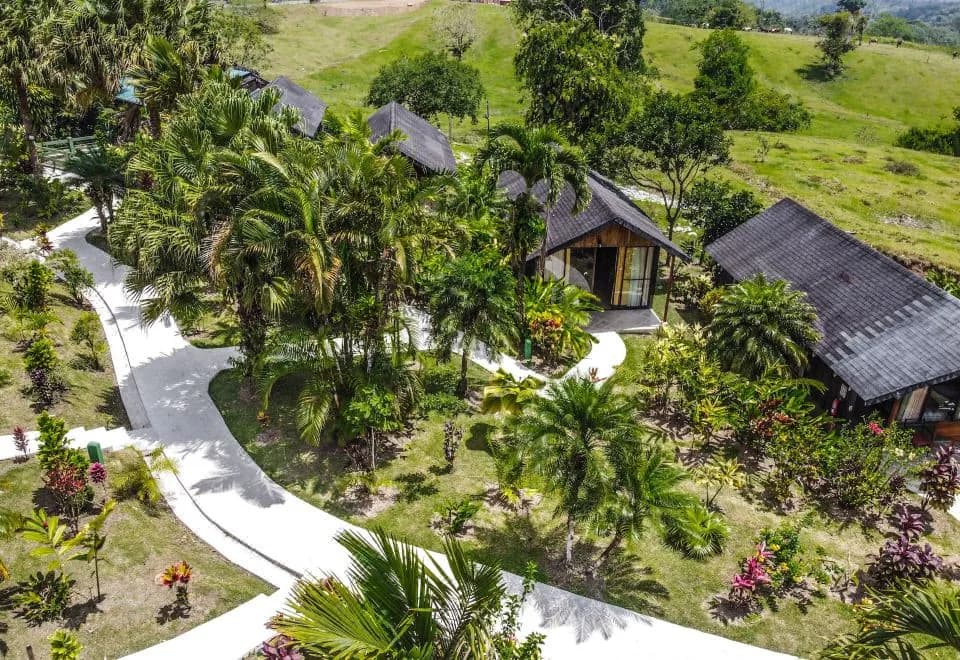 Hotel Lavas Tacotal