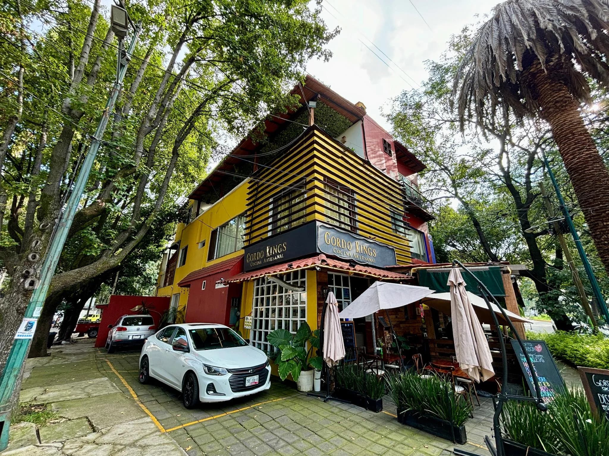 OYO Casa Anzures Thematic