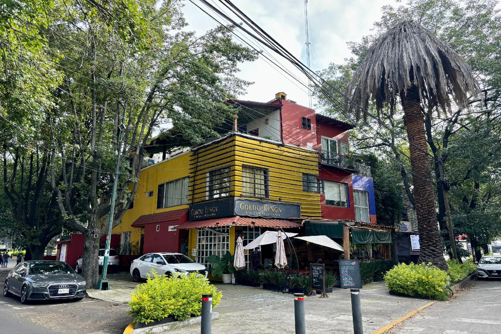 OYO Casa Anzures Thematic