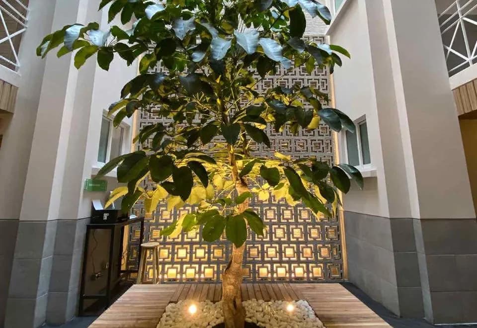 Hotel MX zócalo