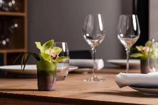 Hotel Royal by Manotel Hotel Group Geneva
