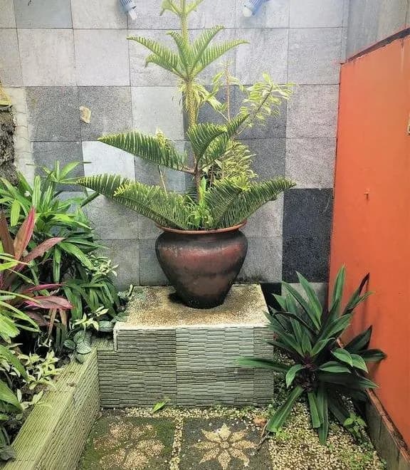 Villa Dua