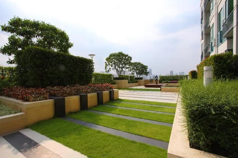 Ivy Thonglor 55
