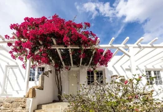 Rhenia Hotel