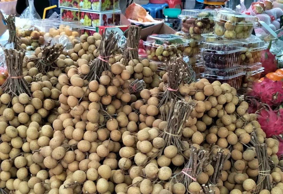 Sandy Serviced Apartment