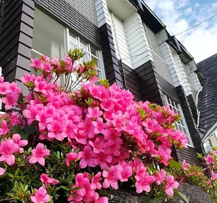 Jas Hotel Takayama