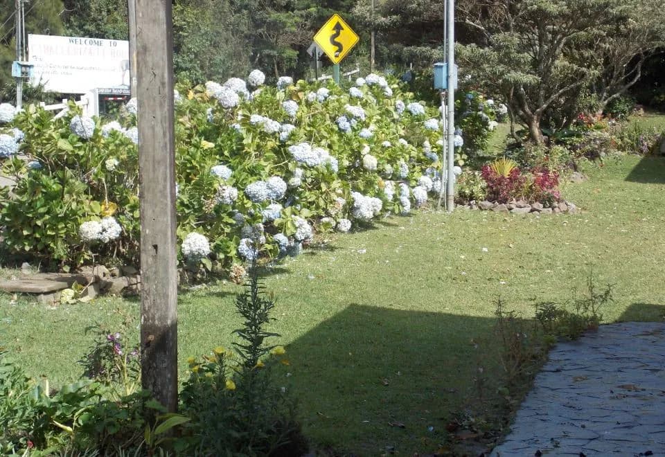 Hotel Las Orquideas