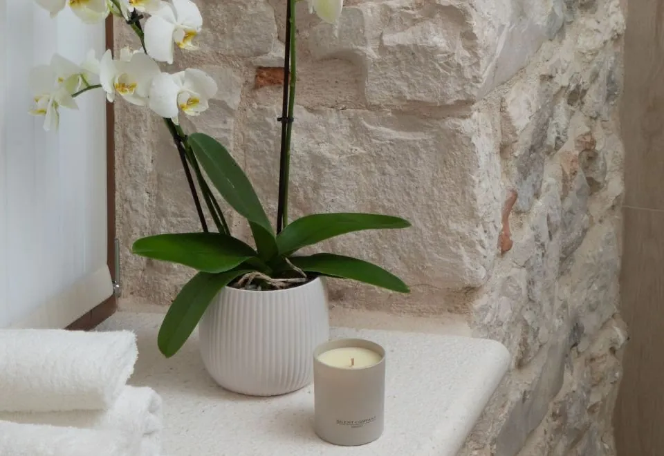 Luxury Rooms MA de Dominis - Adults Only