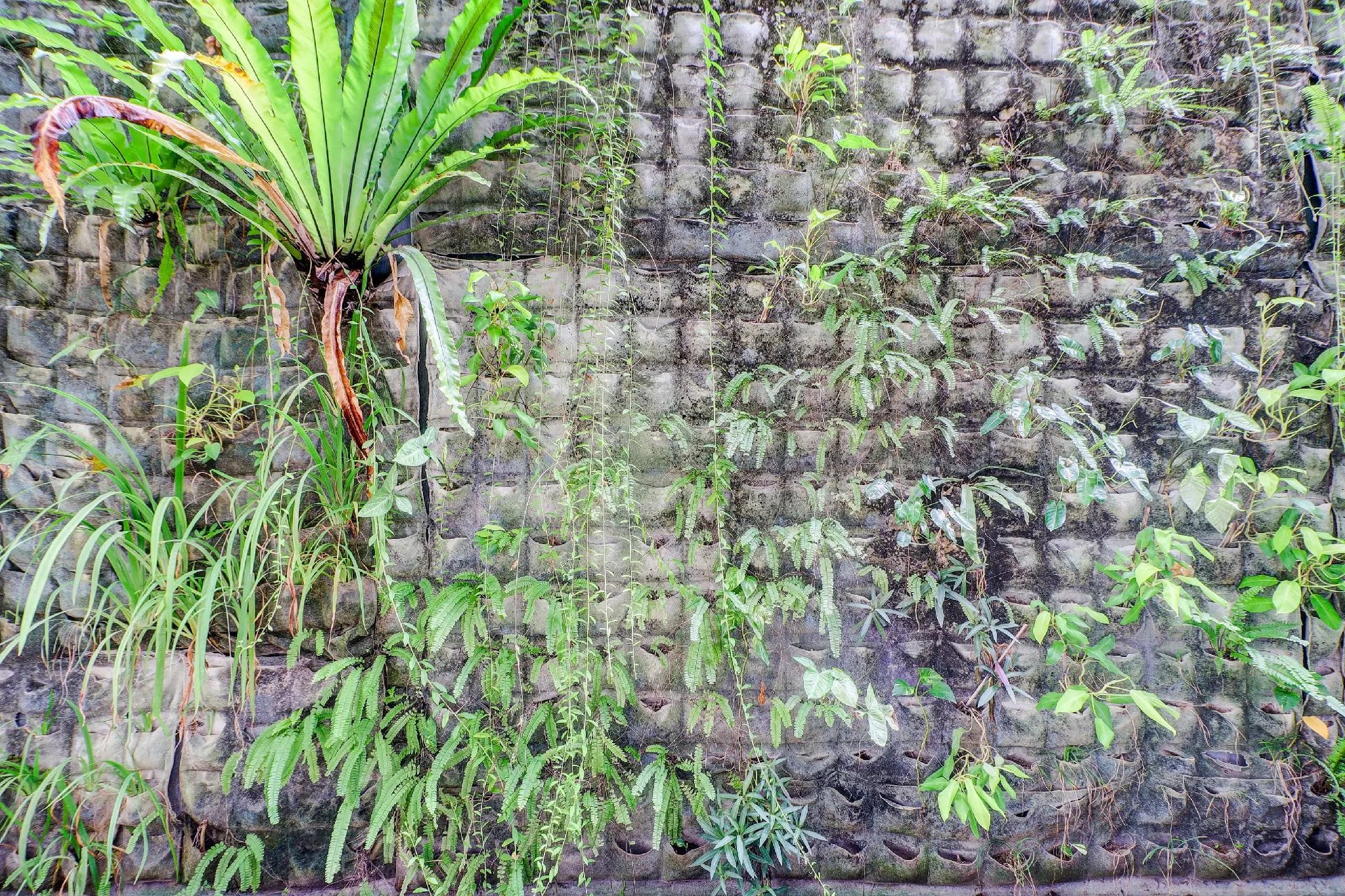 Collection O Bali near Sanur Beach formerly Akarsa Kokoro