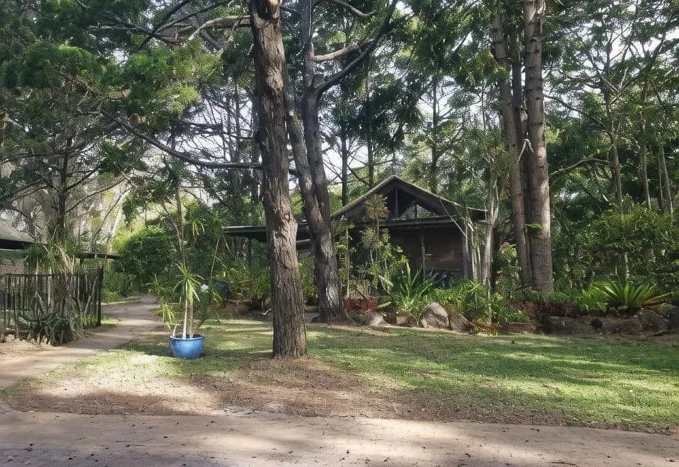 Byron Bay Rainforest Resort
